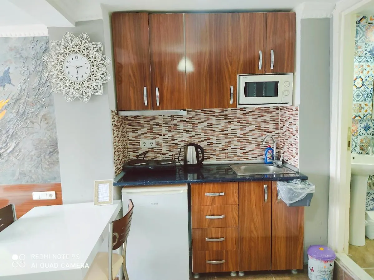 이스탄불 Sultanahmet Sea Star Apart 아파트