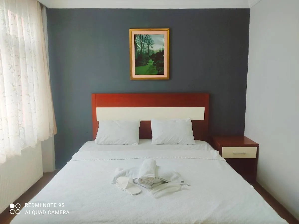 이스탄불 Sultanahmet Sea Star Apart 아파트